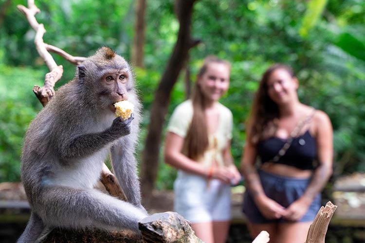 Episches Indonesien 15 Tage / 14 Nächte ab Canggu bis Ubud