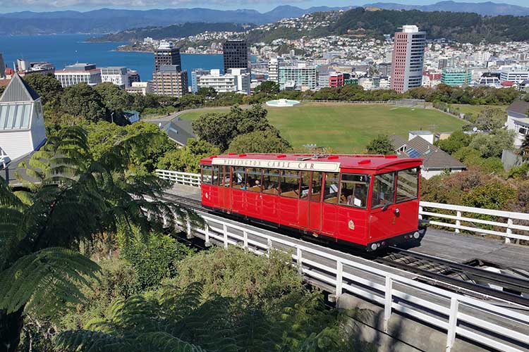 wellington 1116880 1920