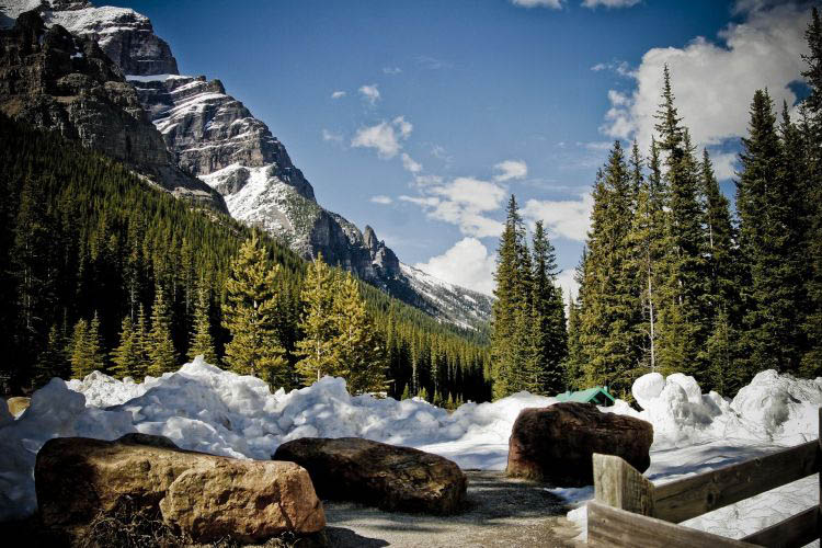 Yoho NP Fluss