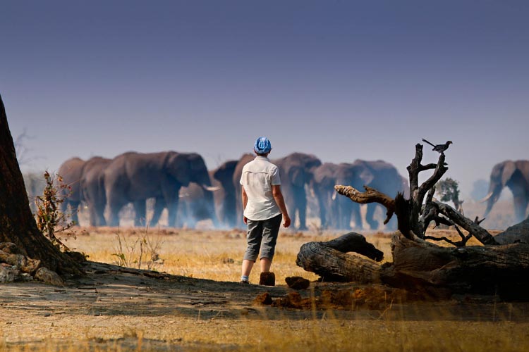 Botswana Savuti