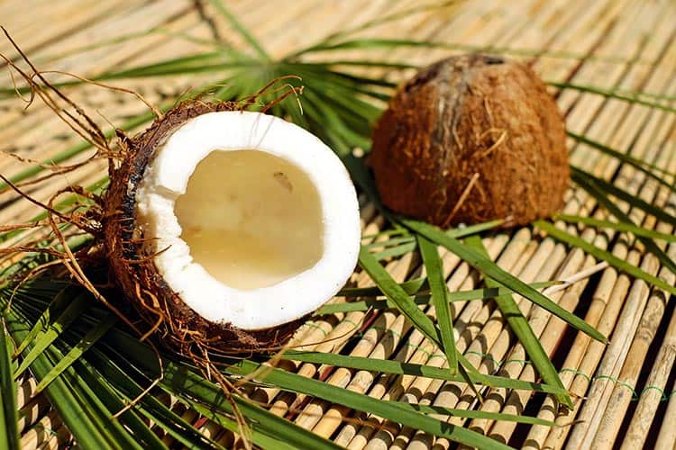 coconut 1501334 1920