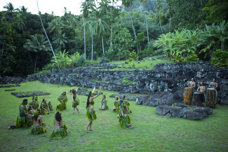 P2 04 HIVA OA 00051